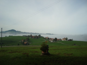 DSC02235.jpg