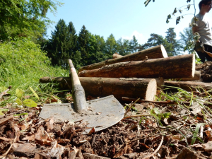 DSCN0511.jpg