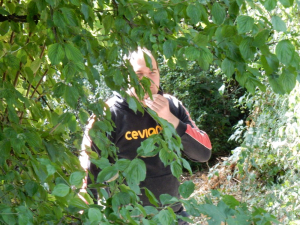 DSCN1064.jpg