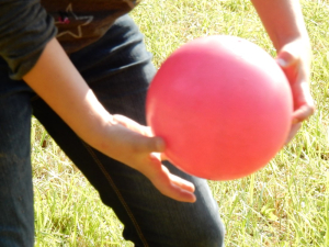 DSCN0455.jpg