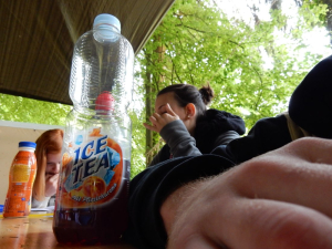 DSCN0537.jpg