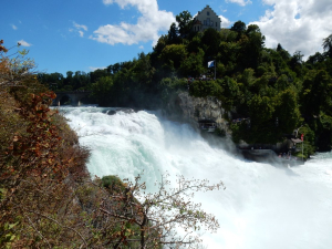 DSCN1271.jpg