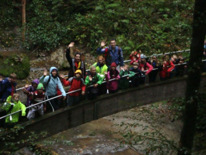 DSC02420.jpg