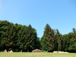 DSCN0514.jpg