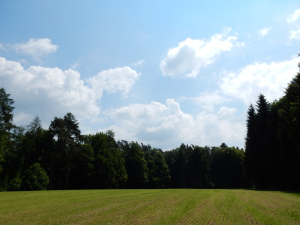 DSCN0436.jpg