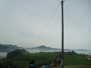 DSC02239.jpg