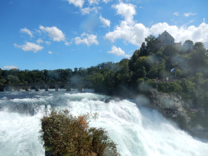 DSCN1275.jpg