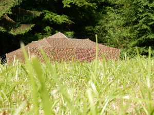 DSCN0466.jpg