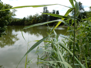 DSCN1553.jpg