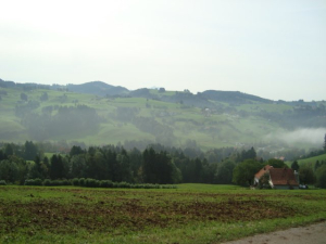 DSC02238.jpg