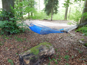 DSCN0527.jpg