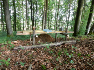DSCN0437.jpg
